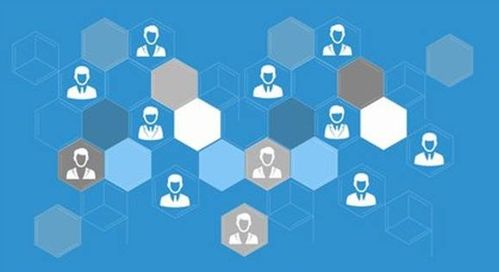 仁懷網絡推廣實戰 技術原理、核心參數與區域品牌突圍之道